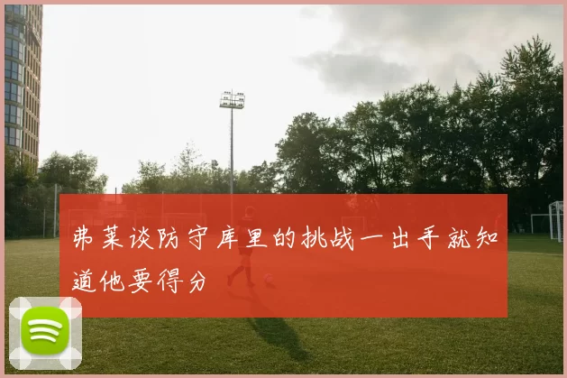 弗莱谈防守库里的挑战一出手就知道他要得分